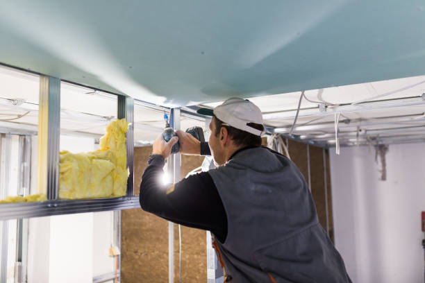 Best Insulation Removal  in Donora, PA