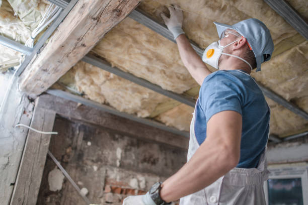 Best Garage Insulation Installation  in Donora, PA