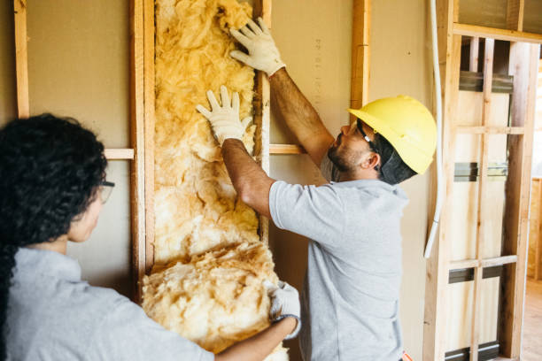 Best Energy-efficient Insulation  in Donora, PA