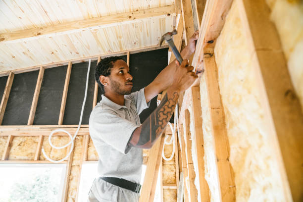 Best Insulation Inspection Services  in Donora, PA