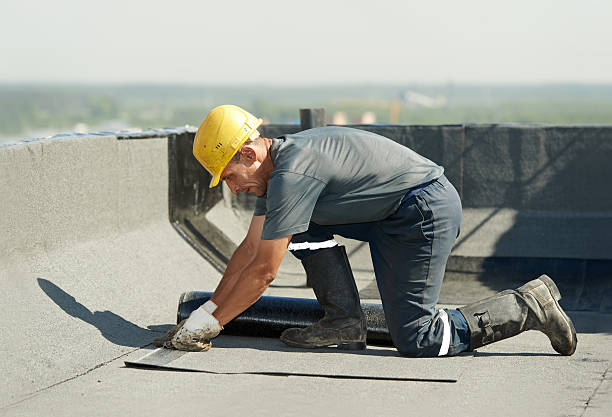 Best Wall Insulation Contractor  in Donora, PA