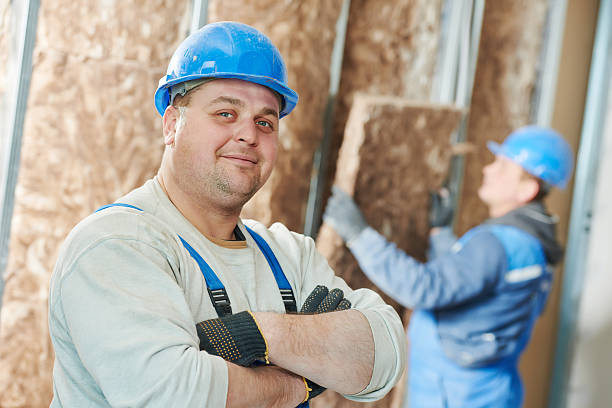 Best Insulation Replacement Services  in Donora, PA